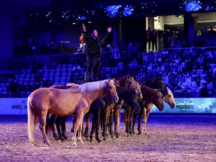 Tallinn International Horse Show Tallinn International Horse Show