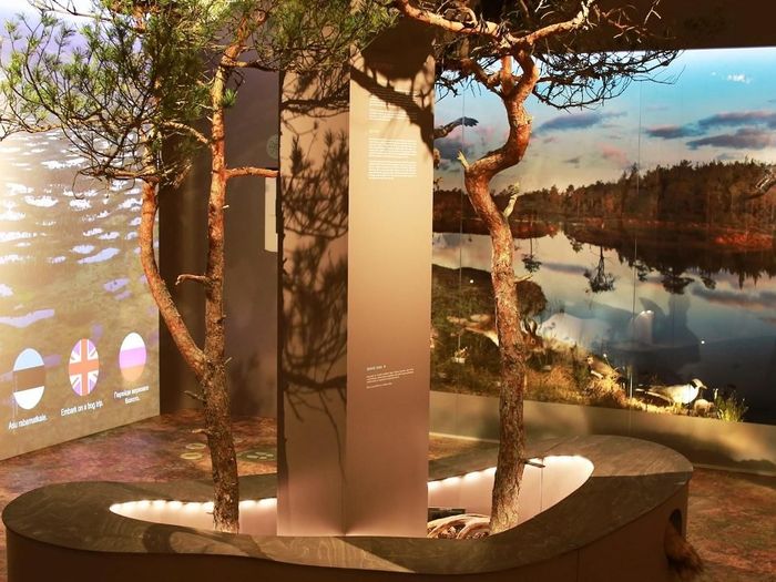 Estonian Museum of Natural History
