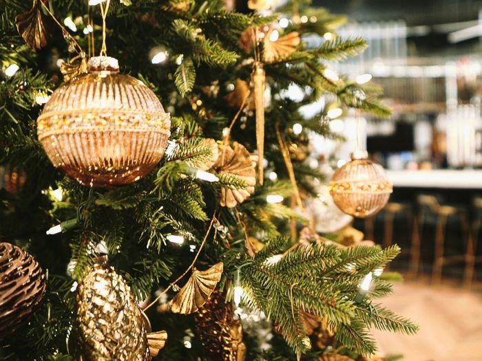 Estonian Christmas food and where to find it in Tallinn