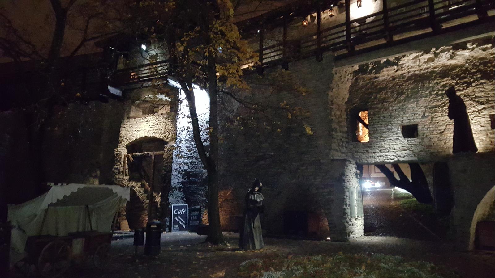 Danish King's Garden at night in Tallinn,
