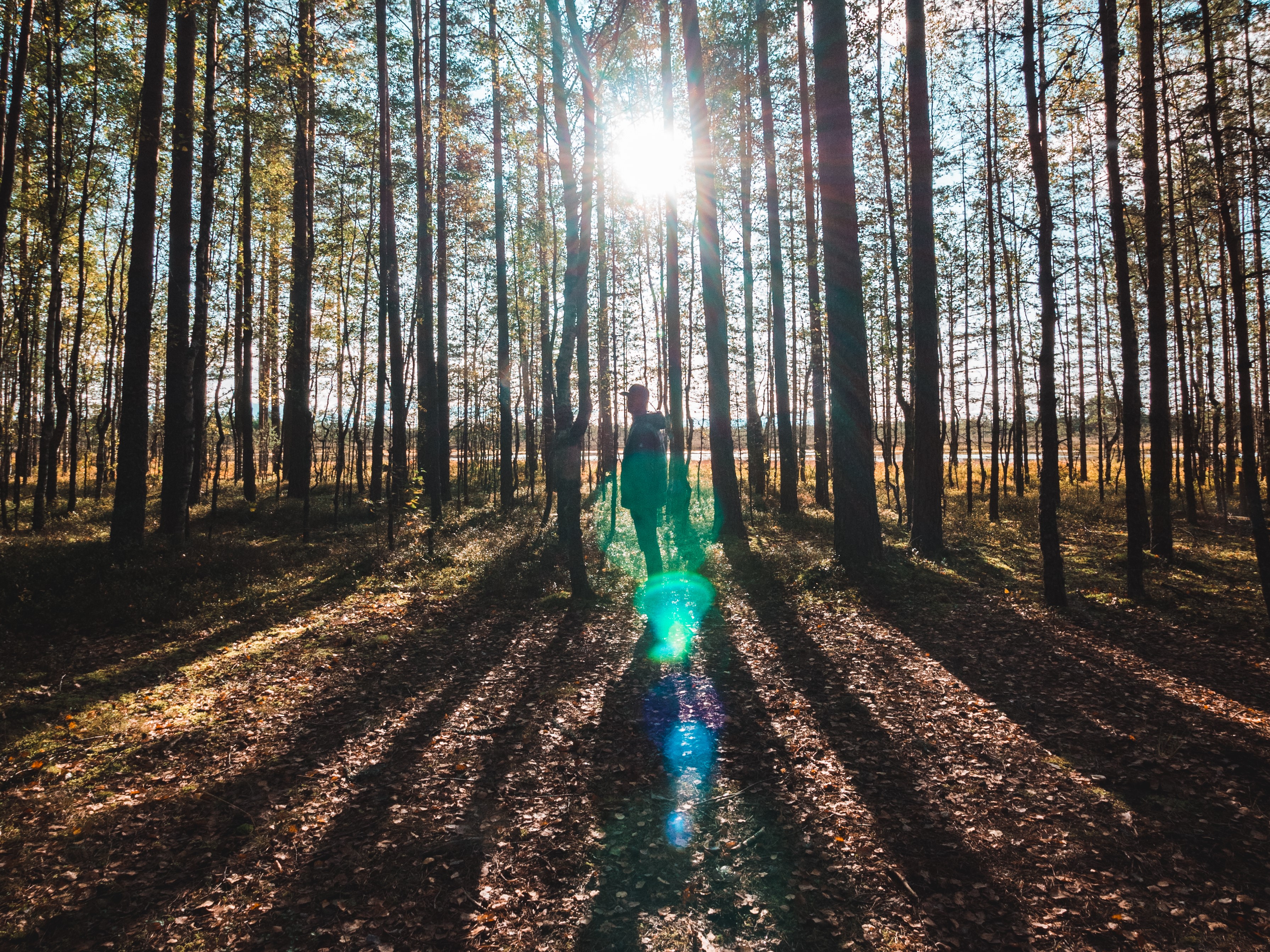 Молодой человек в лесу на острове в Эстонии
