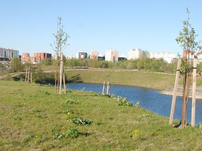 Pae Park