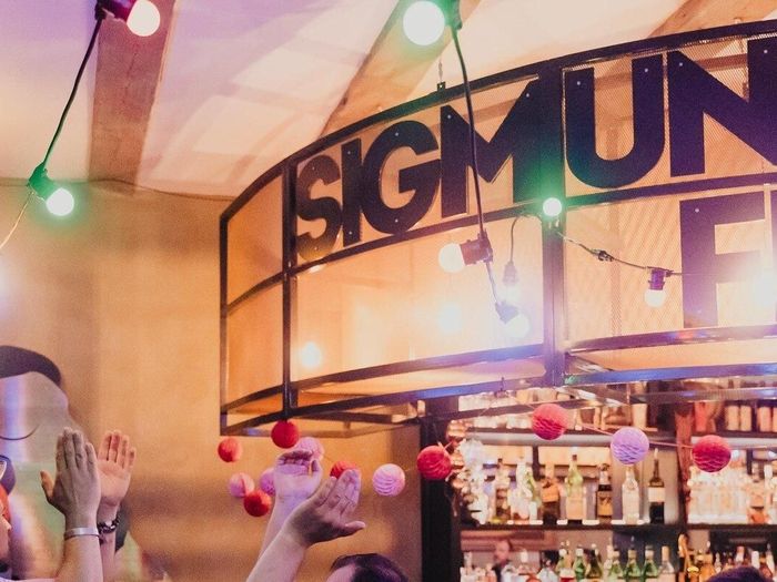 Sigmund Freud Bar