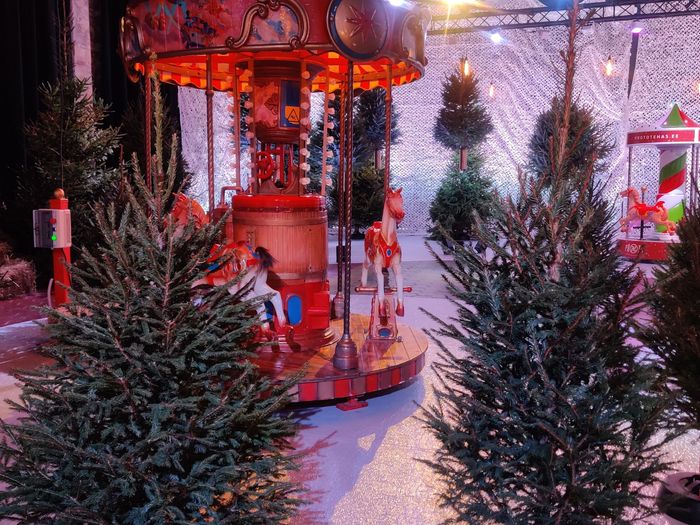 Русское рождество - Albero di Natale vero Alto Adige, Val Venosta