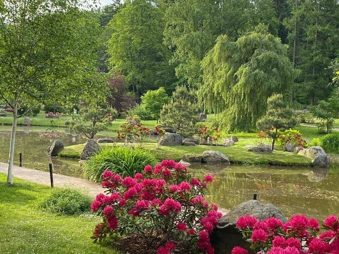 Japanese garden in Kadriorg Park