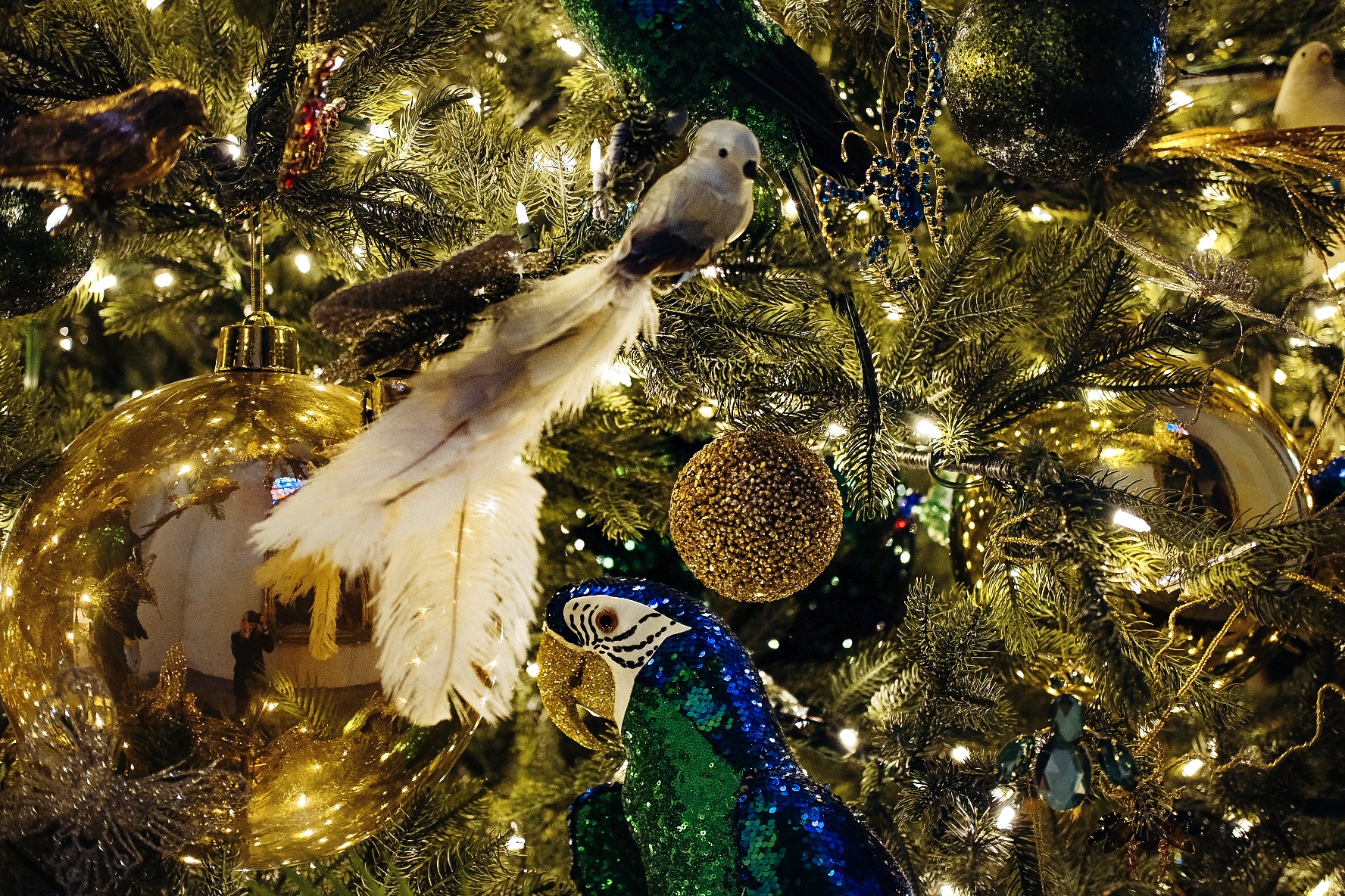 Funkelnde Vögel und andere paradiesische Weihnachtsdekorationen von Shishi in der Kirche St. Nikolaus in Tallinn, Estland.