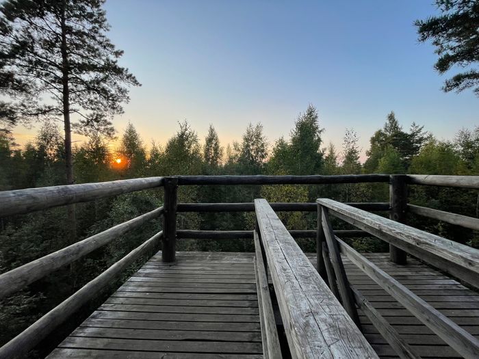 Pääsküla raba loodusõpperada