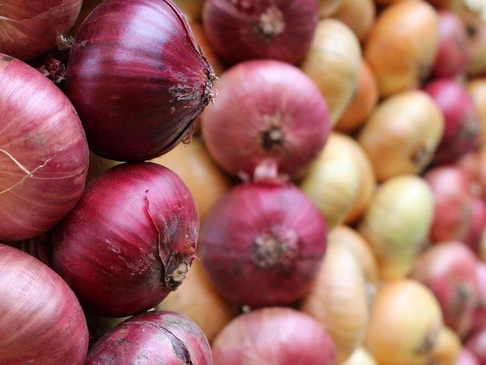Onion and fish day and Seto Michaelmas Day