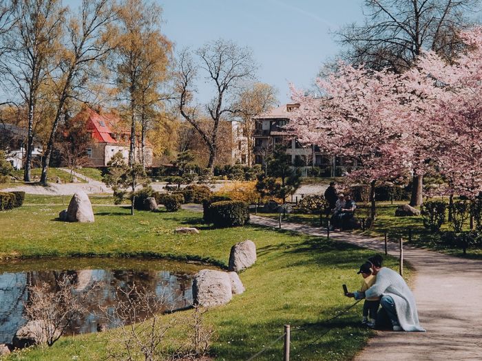 Kadriorgin puiston japanilainen puutarha