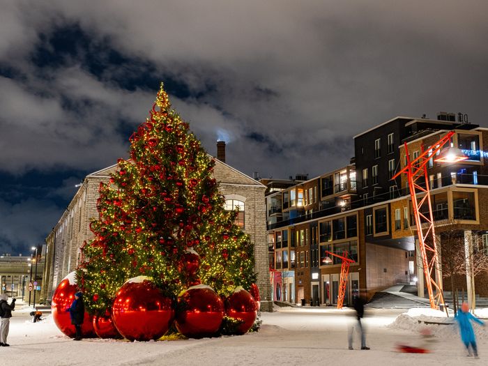 Tallinna erilised jõulukuused