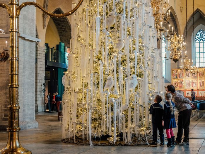 Tallinn’s special Christmas trees