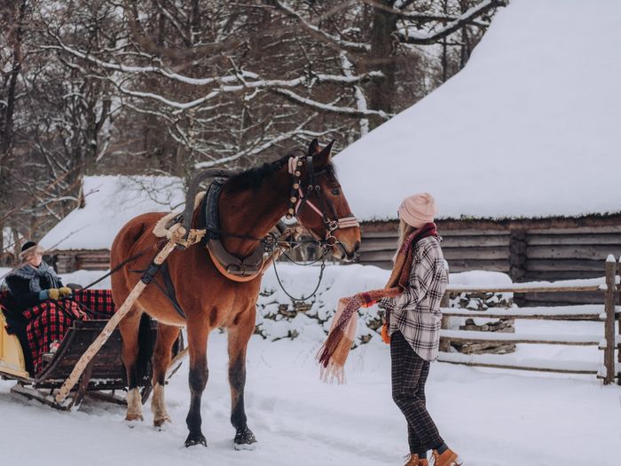 Eesti Vabaõhumuuseum