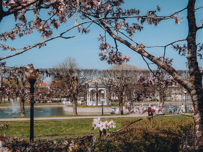 From imperial avenues to art halls: a self-guided journey through Kadriorg