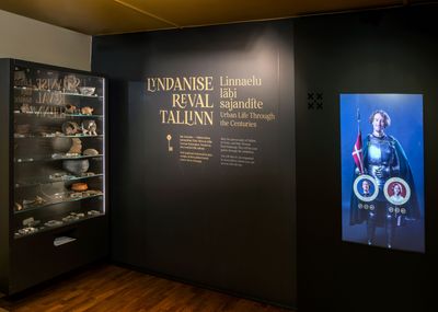 Meklēšanas rezultāta izrādes "Izstāde Lindanise. Reval. Tallina. Pilsētas dzīve caur gadsimtiem" attels