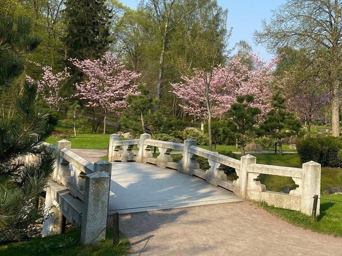Japanese garden in Kadriorg Park