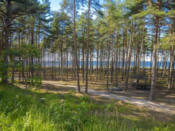 Karavaanialue Valklan lomakeskuksessa