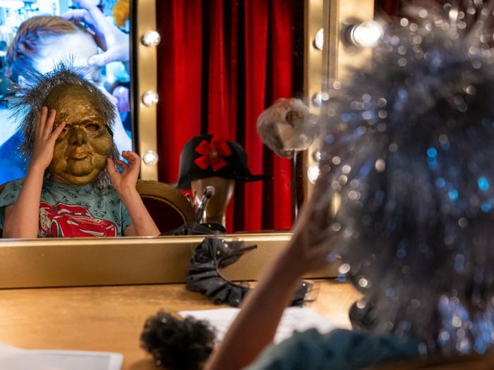 Viron teatteri- ja musiikkimuseo