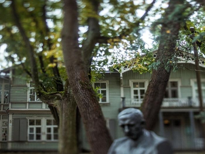 Anton Hansen Tammsaaren kotimuseo