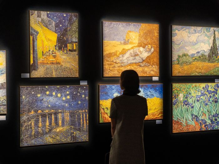 The Van Gogh Experience Exhibition